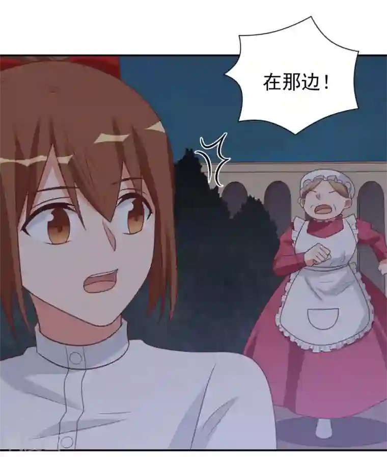 刀与蔷薇木前世篇12