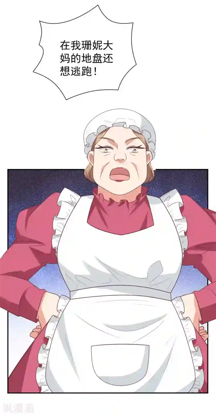 刀与蔷薇木前世篇12