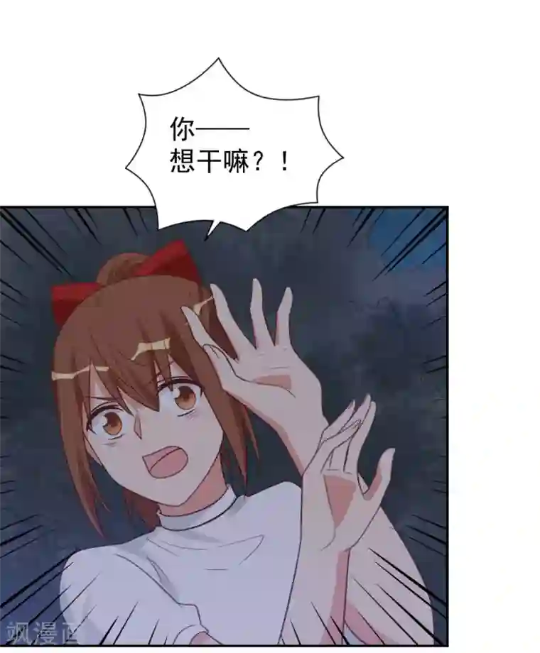 刀与蔷薇木前世篇12