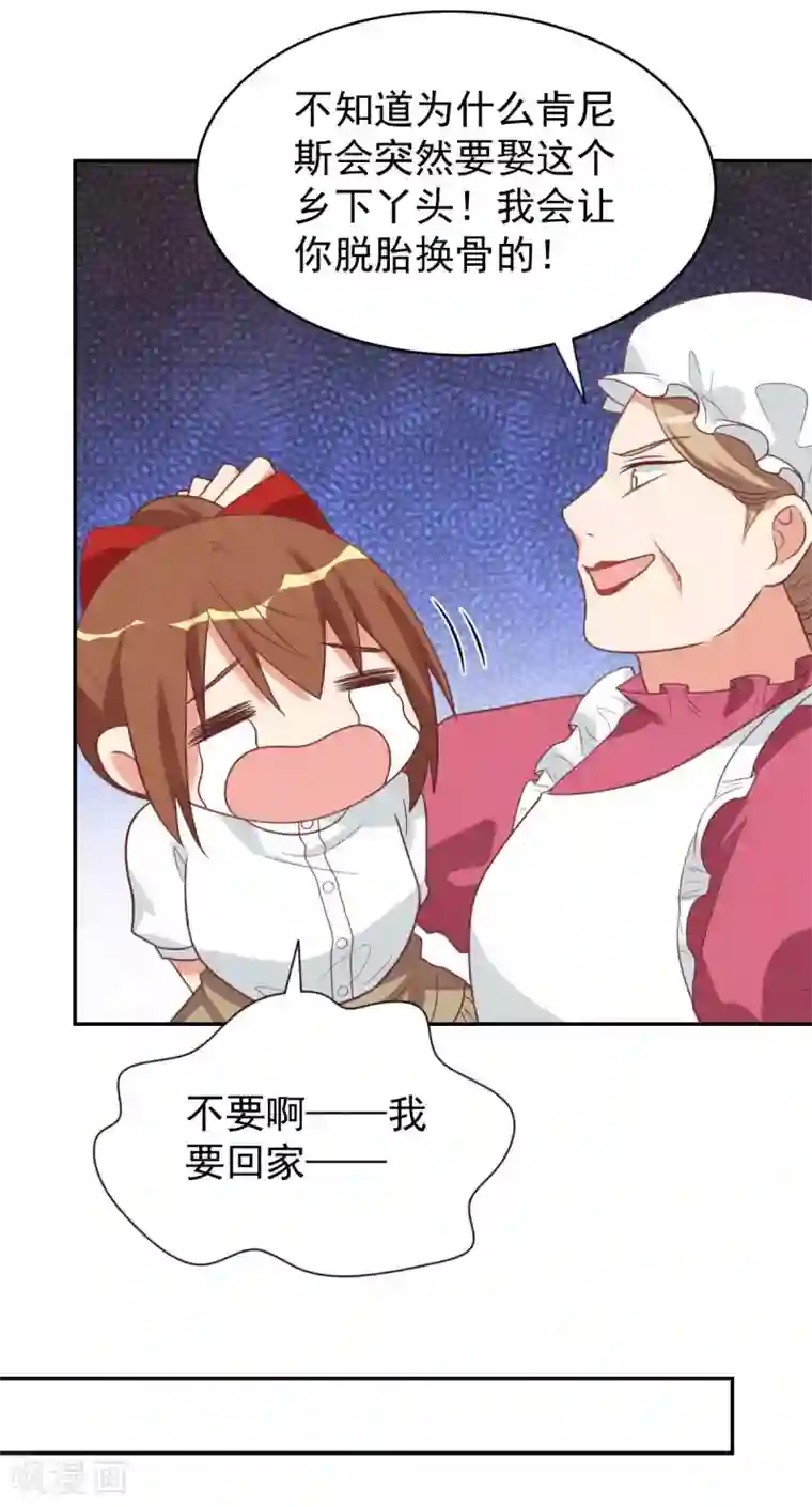 刀与蔷薇木前世篇12