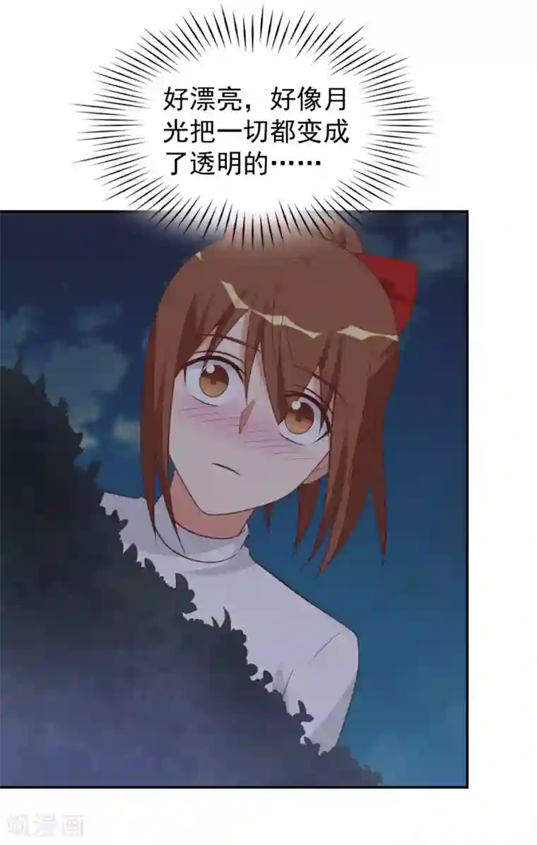 刀与蔷薇木前世篇12