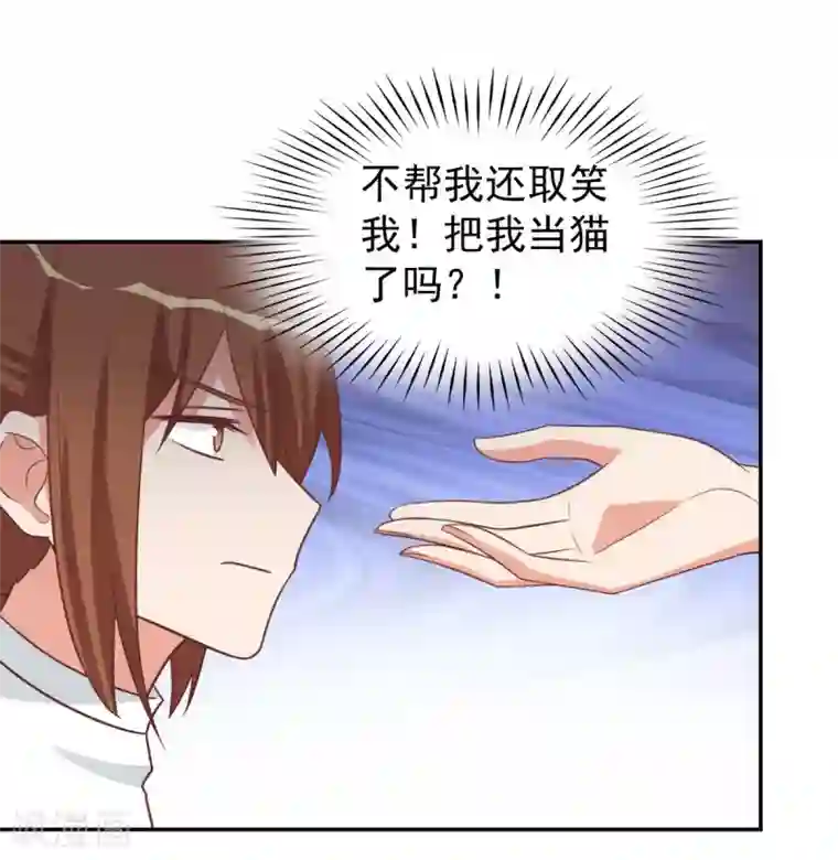 刀与蔷薇木前世篇12