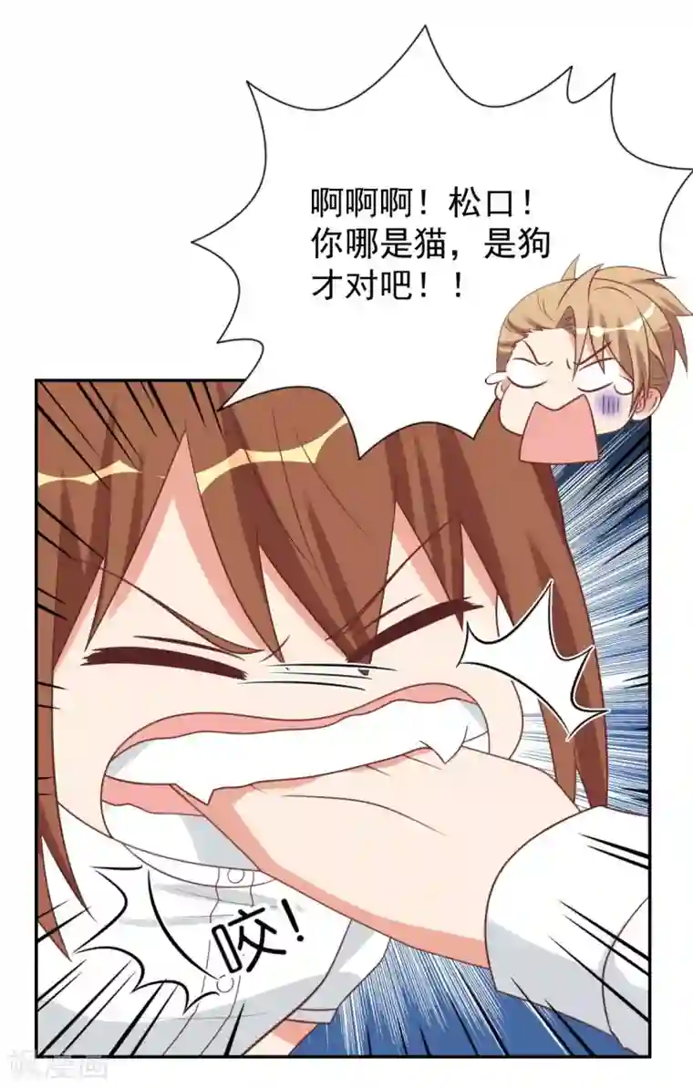 刀与蔷薇木前世篇12