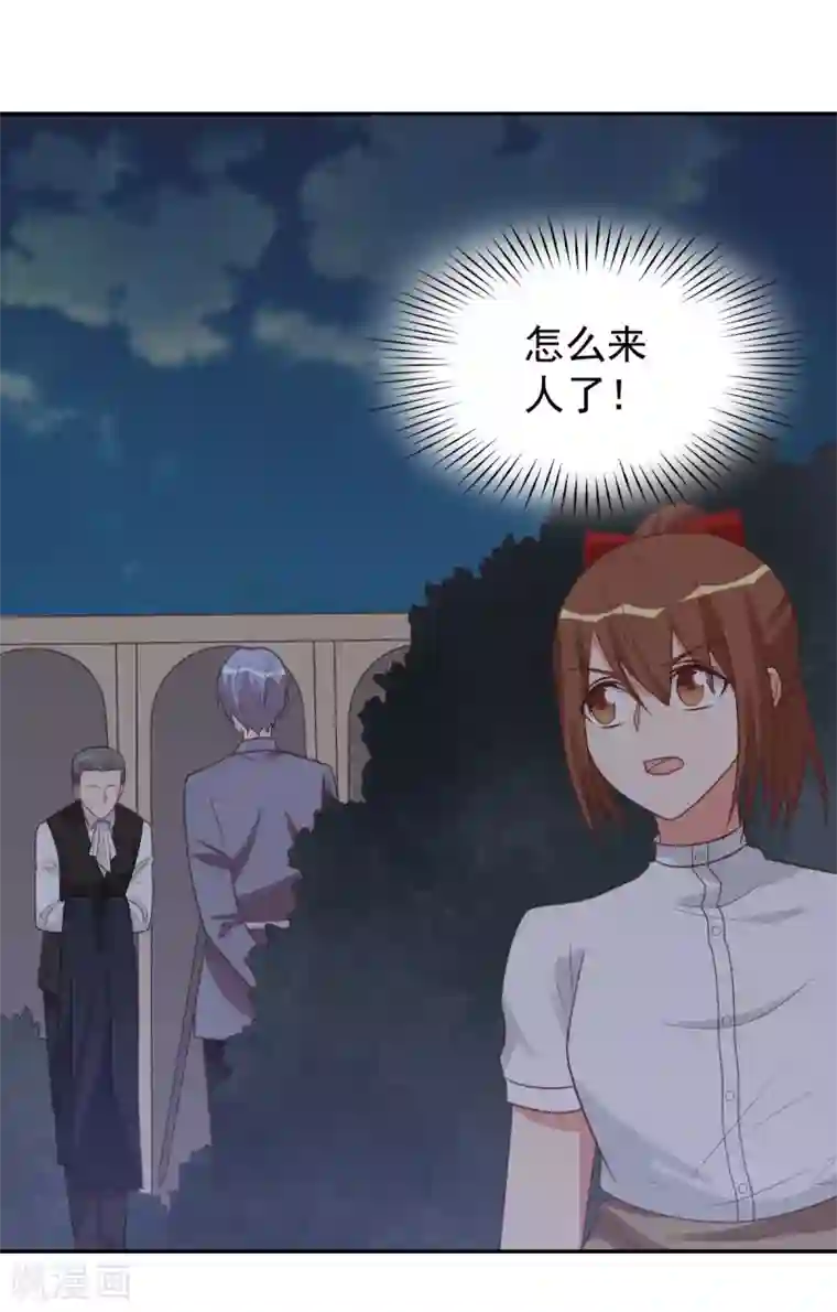 刀与蔷薇木前世篇12