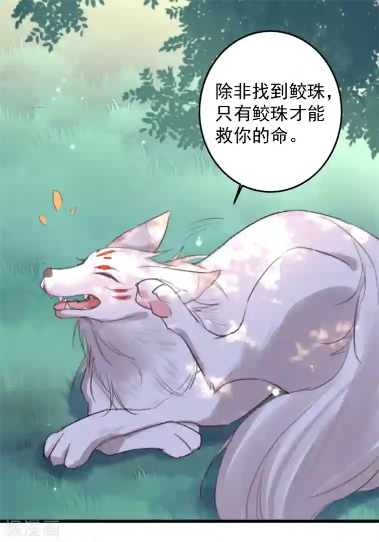 驭兽狂妃第3话 白狼是封印神兽