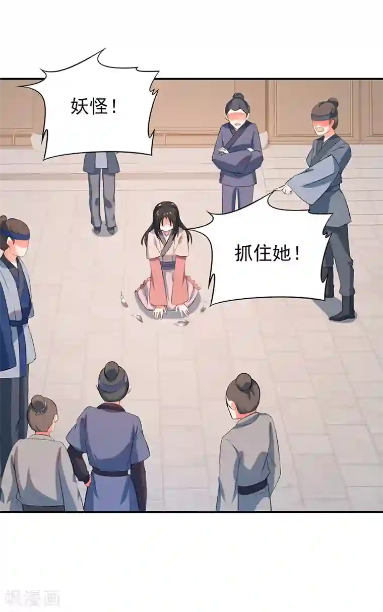 凤归最终话 朱雀遗物