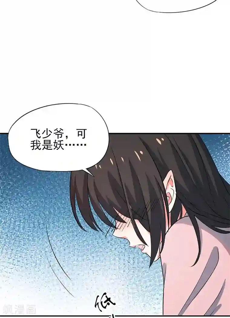 凤归最终话 朱雀遗物