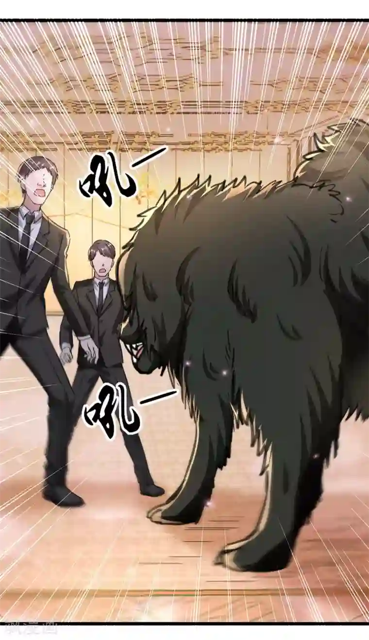 重生弃少归来第147话 鬼獒