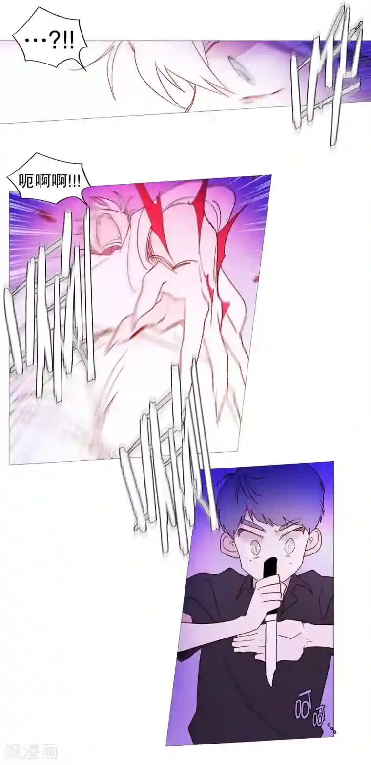 动物灵魂管理局第103话 真面目