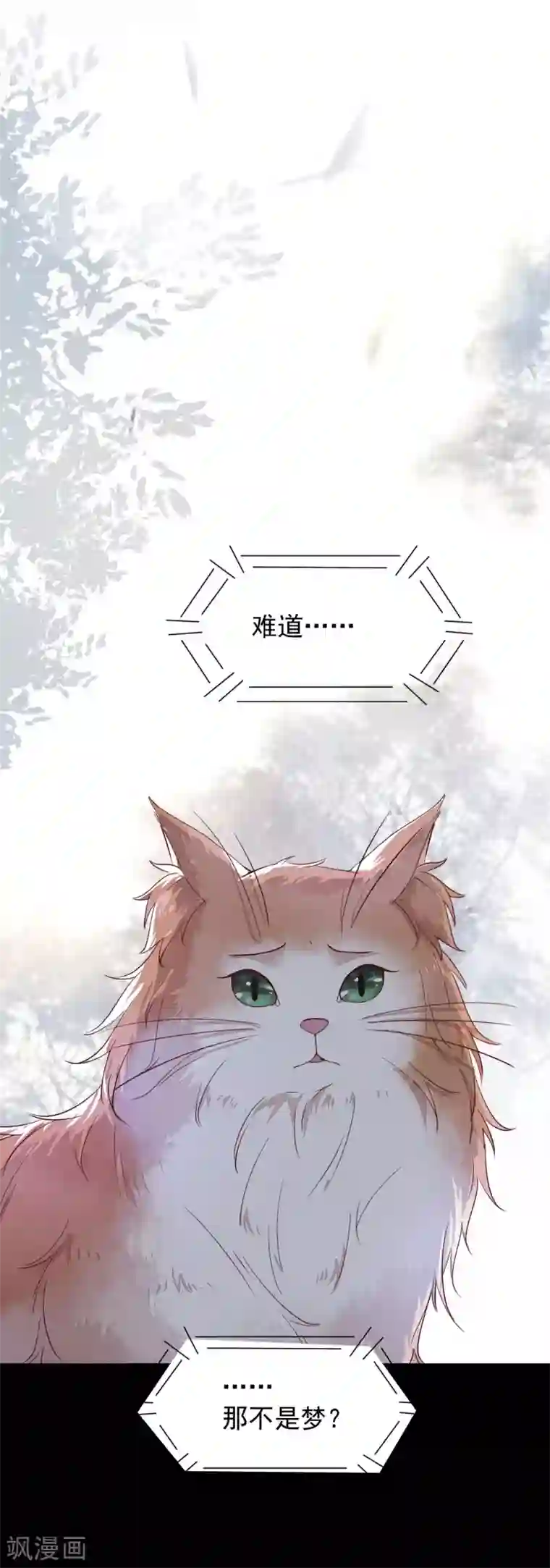 杀手王妃不好惹第48话 童年的记忆重叠