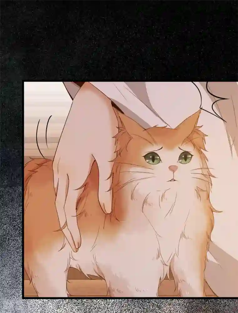 杀手王妃不好惹第48话 童年的记忆重叠