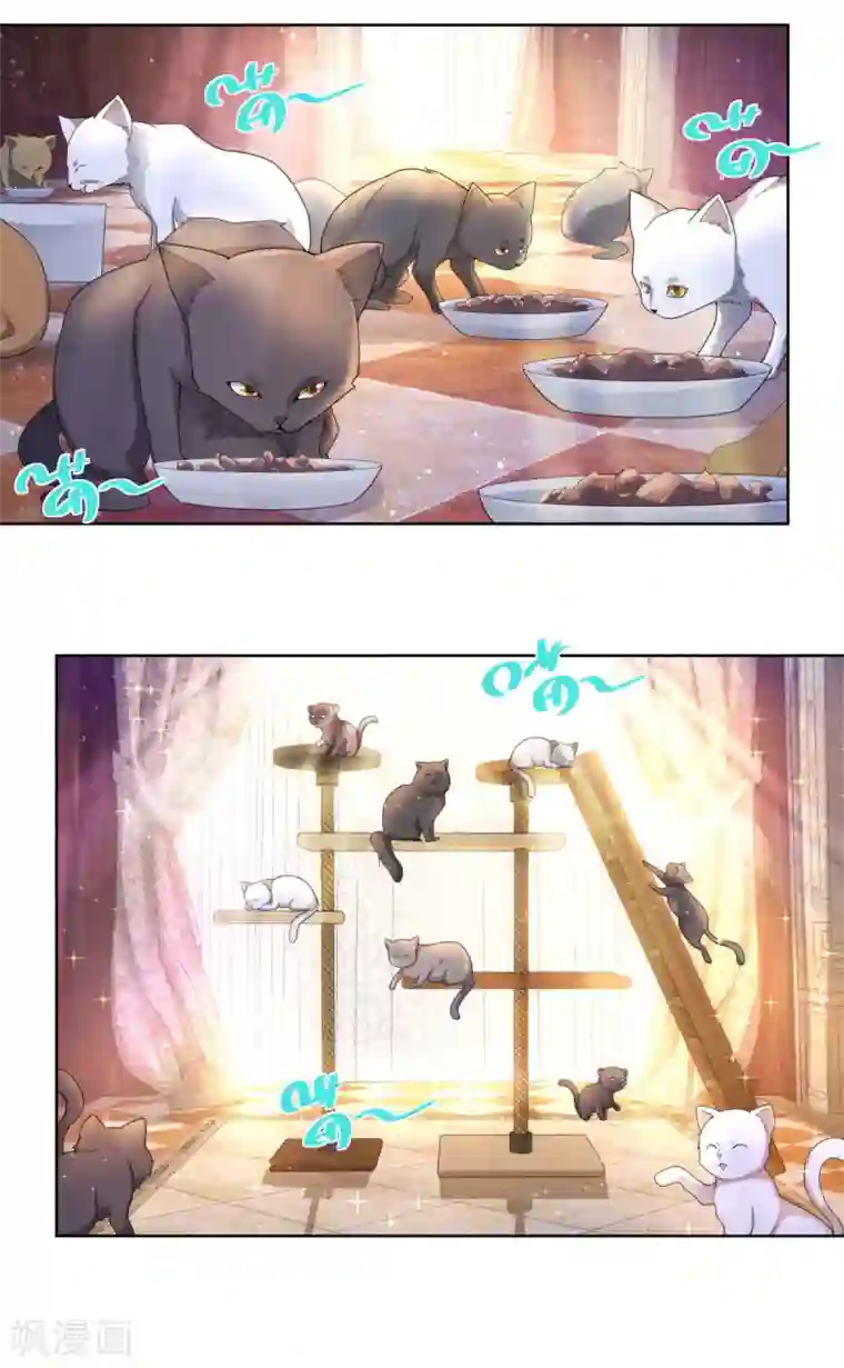 想成为废柴的公爵小姐第67话 对一只猫用敬语