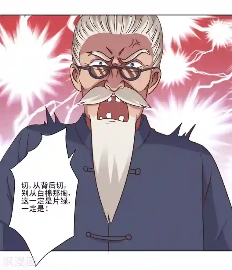 都市至尊系统第75话 冰种vs冰种