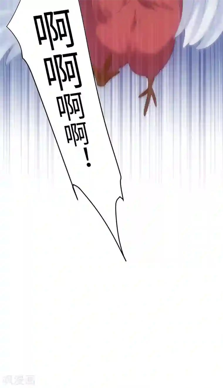 今天也没变成人第102话 坠鸡事件