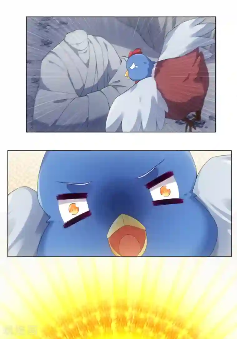 今天也没变成人第102话 坠鸡事件