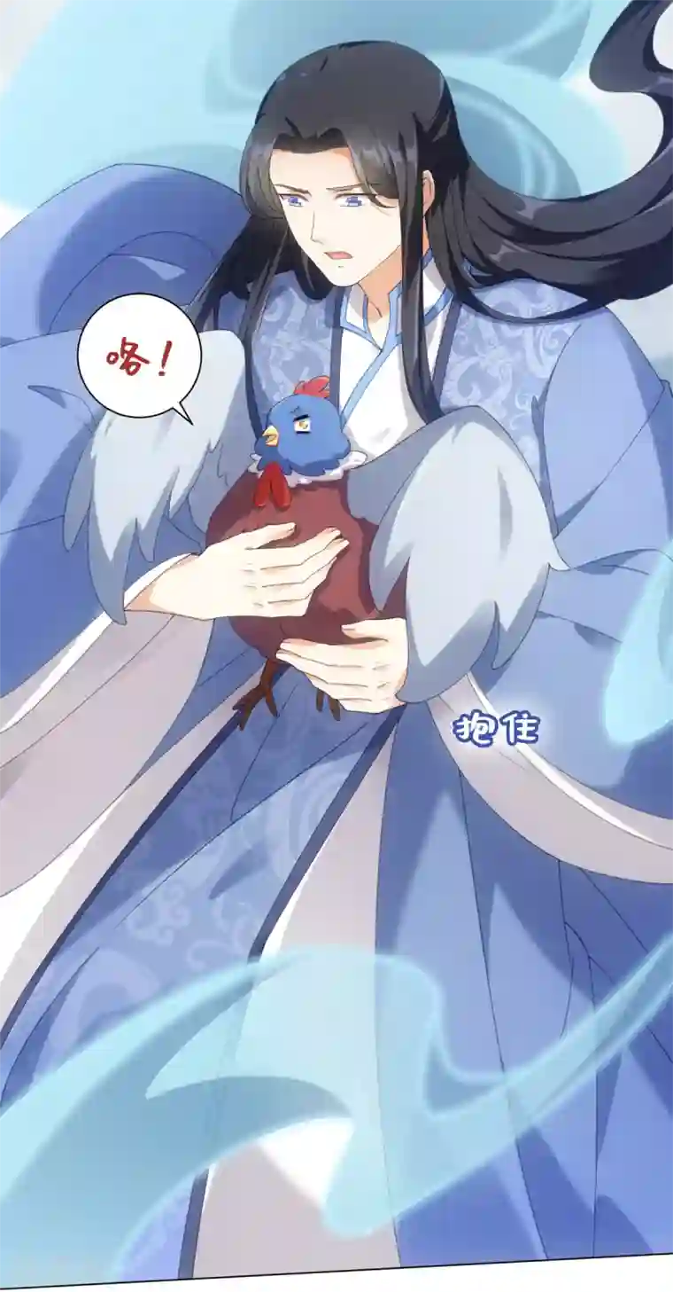 今天也没变成人第102话 坠鸡事件