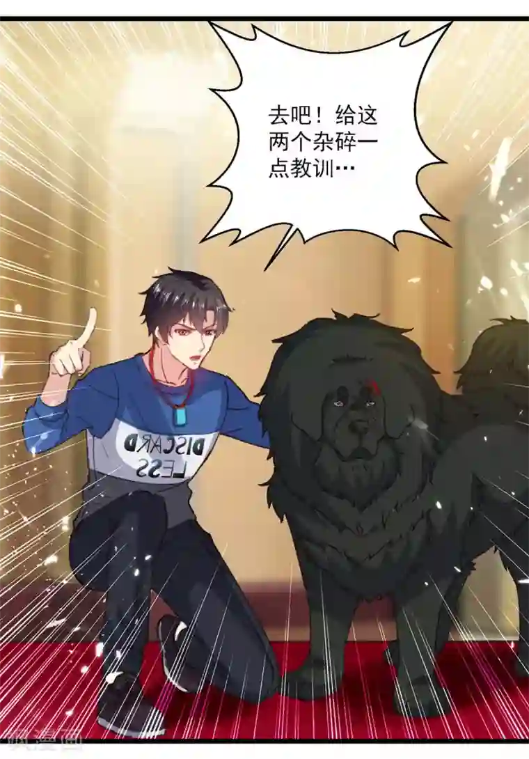 重生弃少归来第148话 驯服