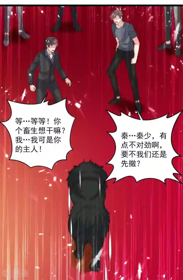 重生弃少归来第148话 驯服