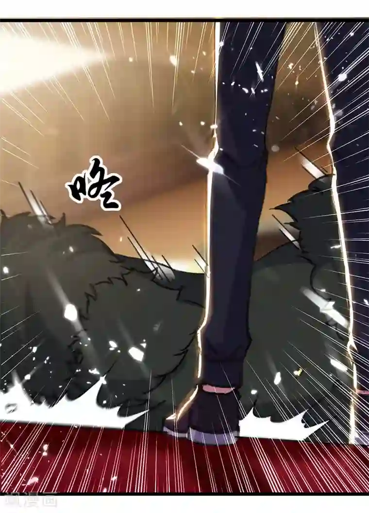 重生弃少归来第148话 驯服