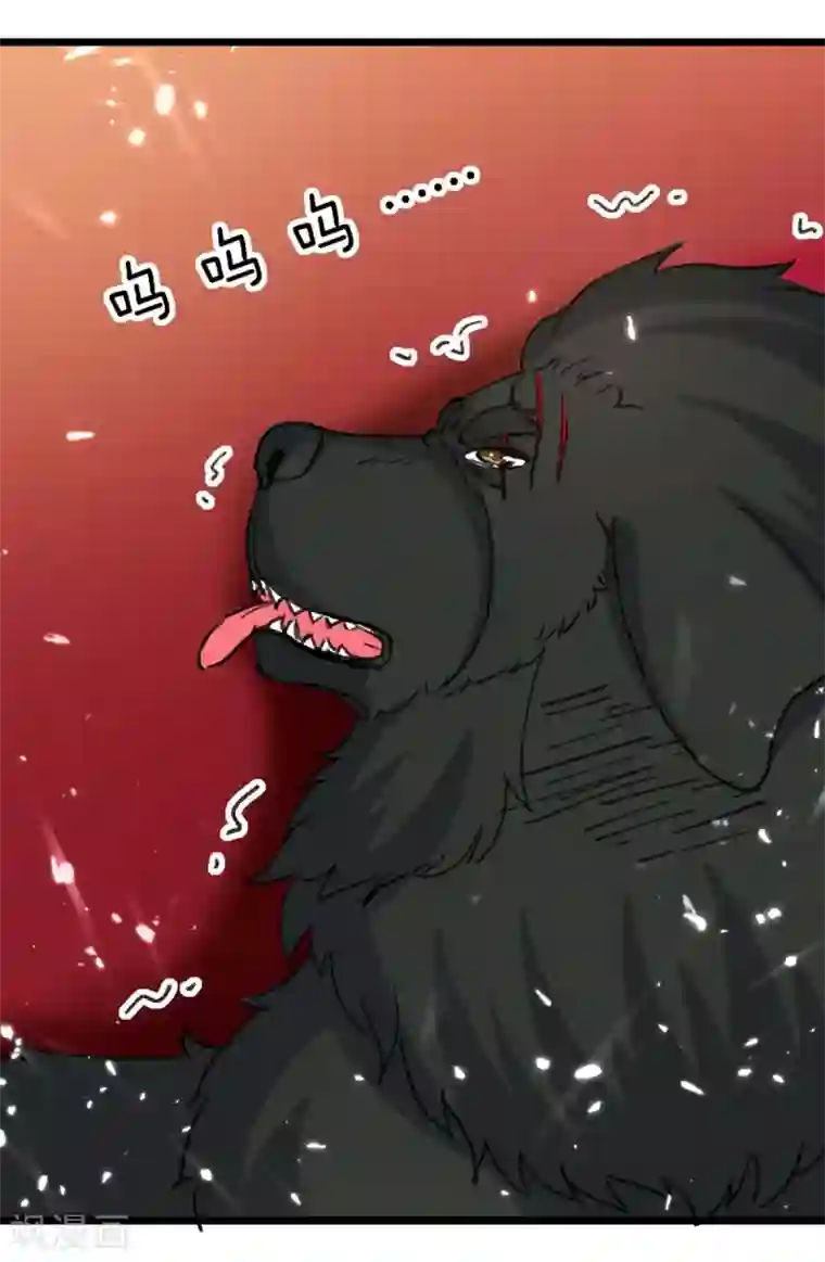 重生弃少归来第148话 驯服