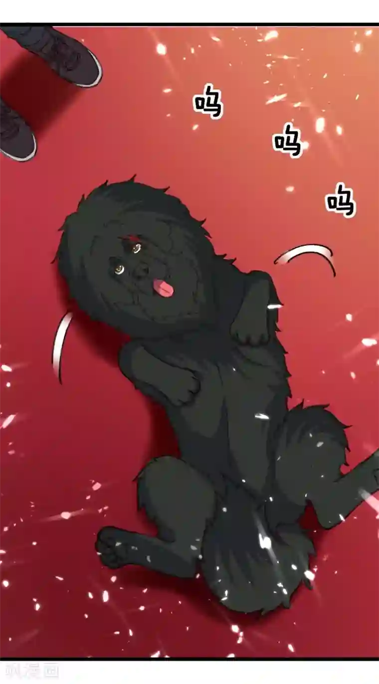 重生弃少归来第148话 驯服