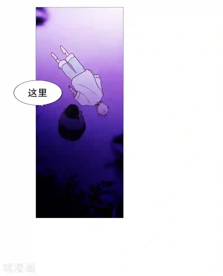 动物灵魂管理局第105话 噪音