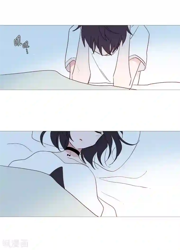 动物灵魂管理局第105话 噪音