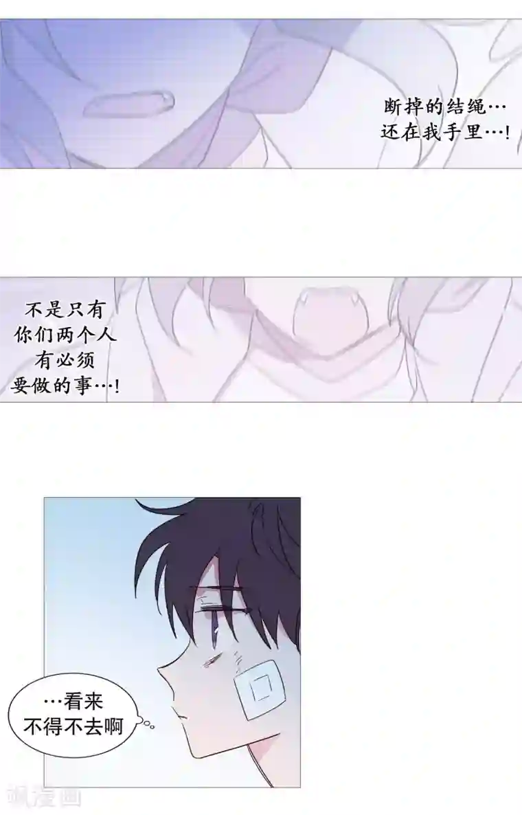 动物灵魂管理局第105话 噪音