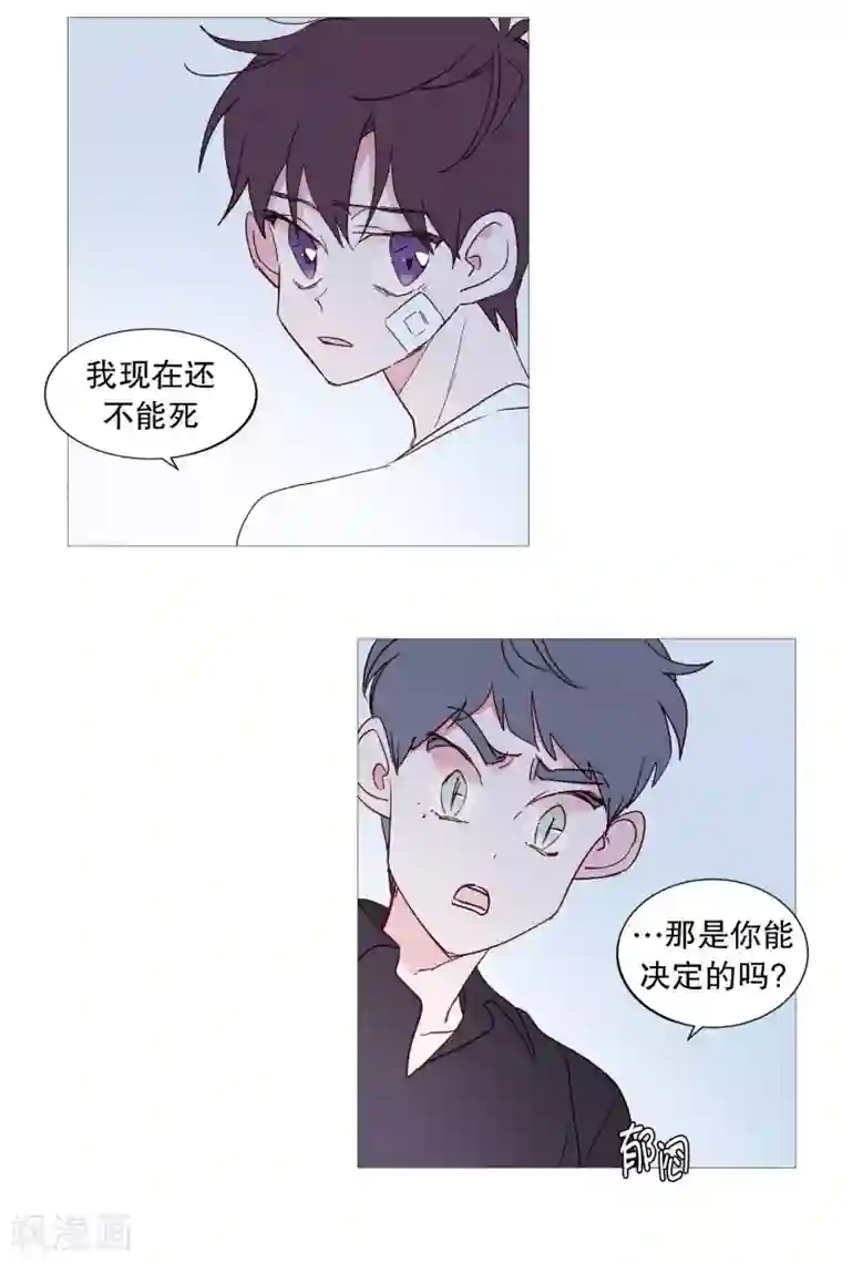 动物灵魂管理局第105话 噪音