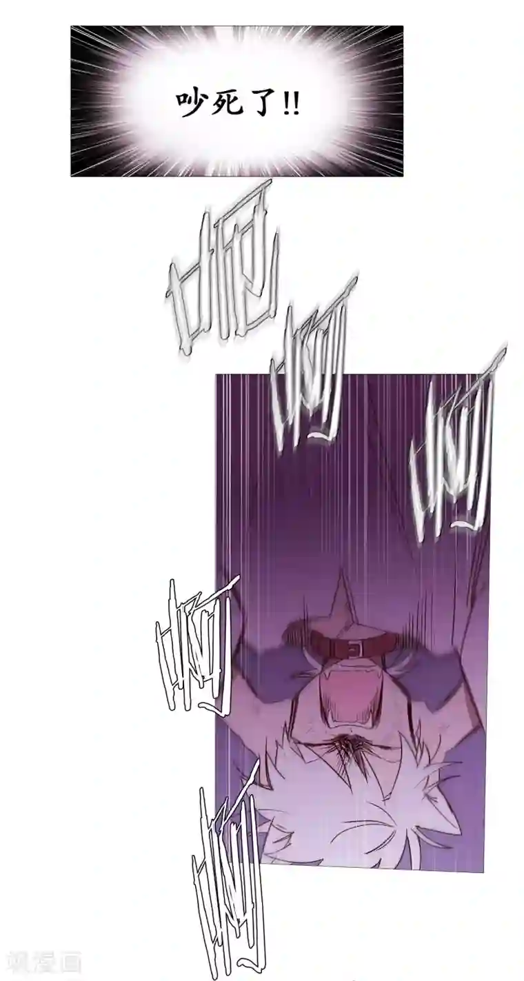 动物灵魂管理局第105话 噪音