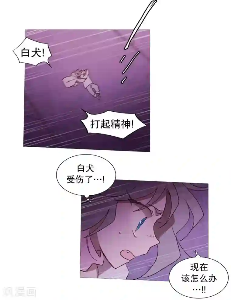 动物灵魂管理局第105话 噪音