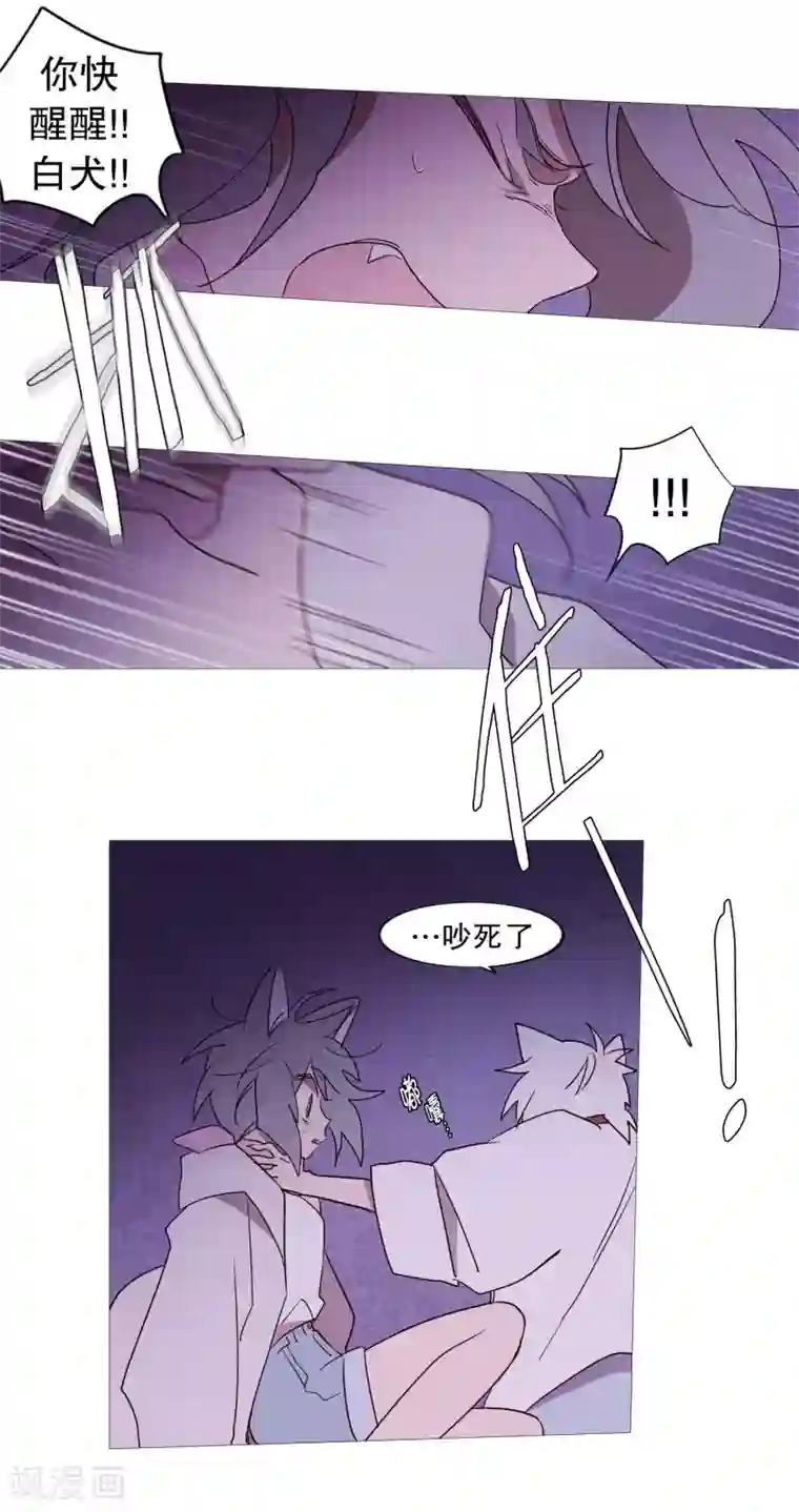 动物灵魂管理局第105话 噪音