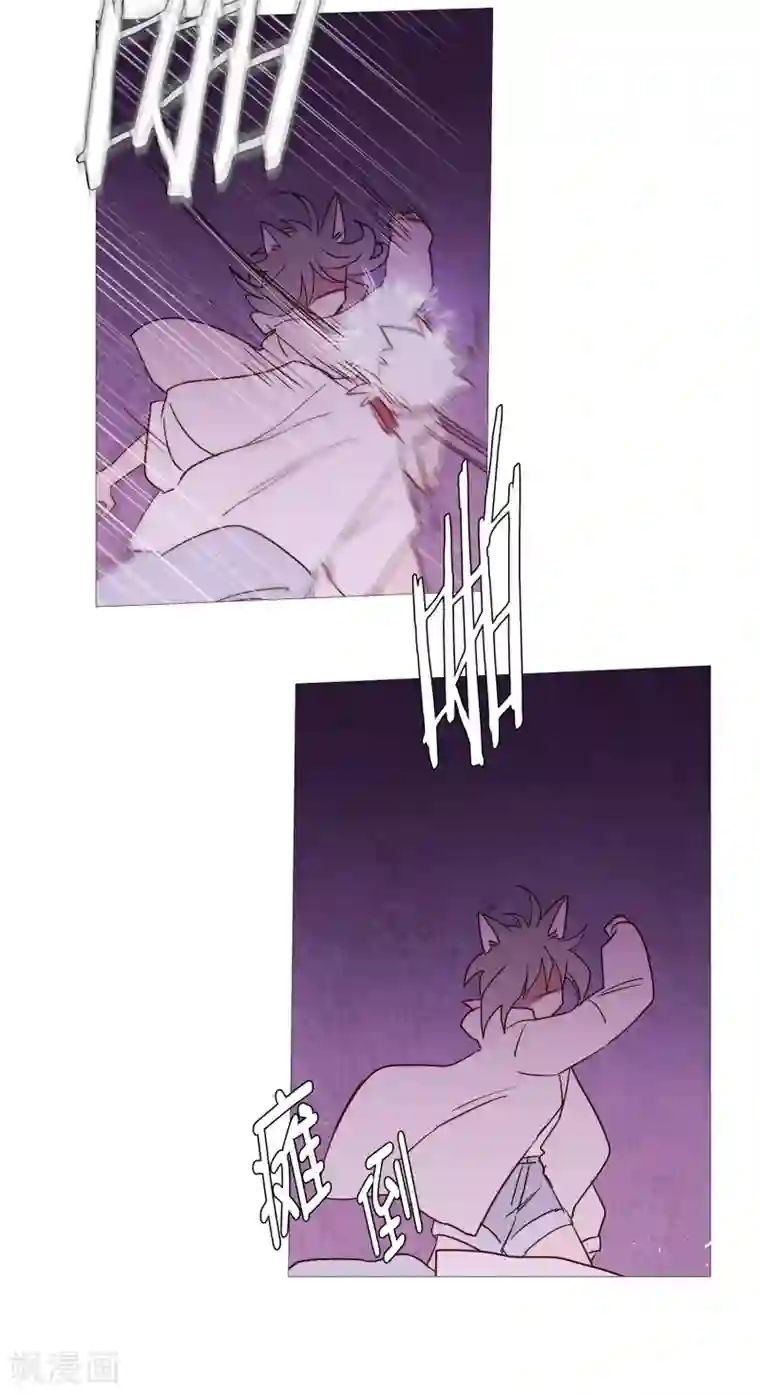 动物灵魂管理局第105话 噪音