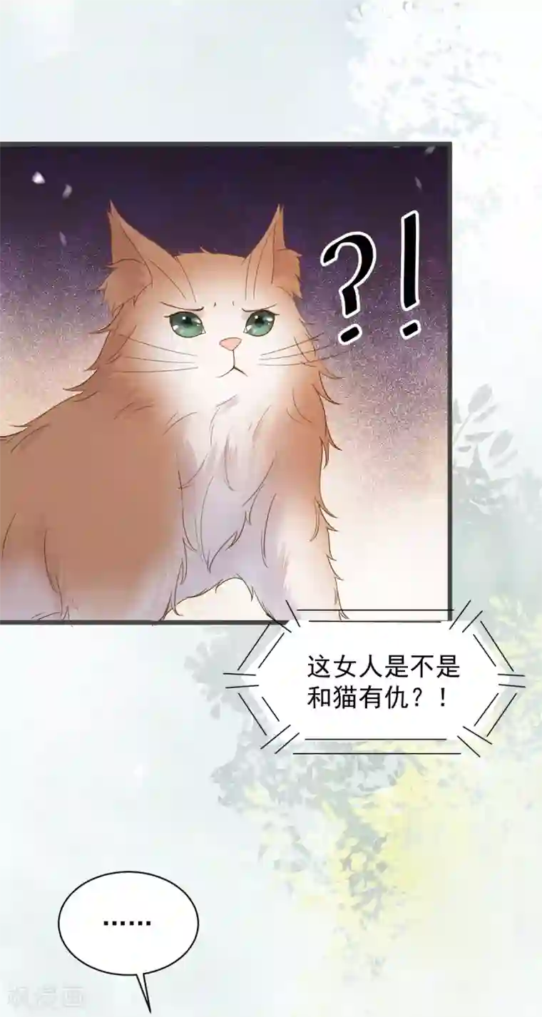 杀手王妃不好惹第49话 pua式疯母