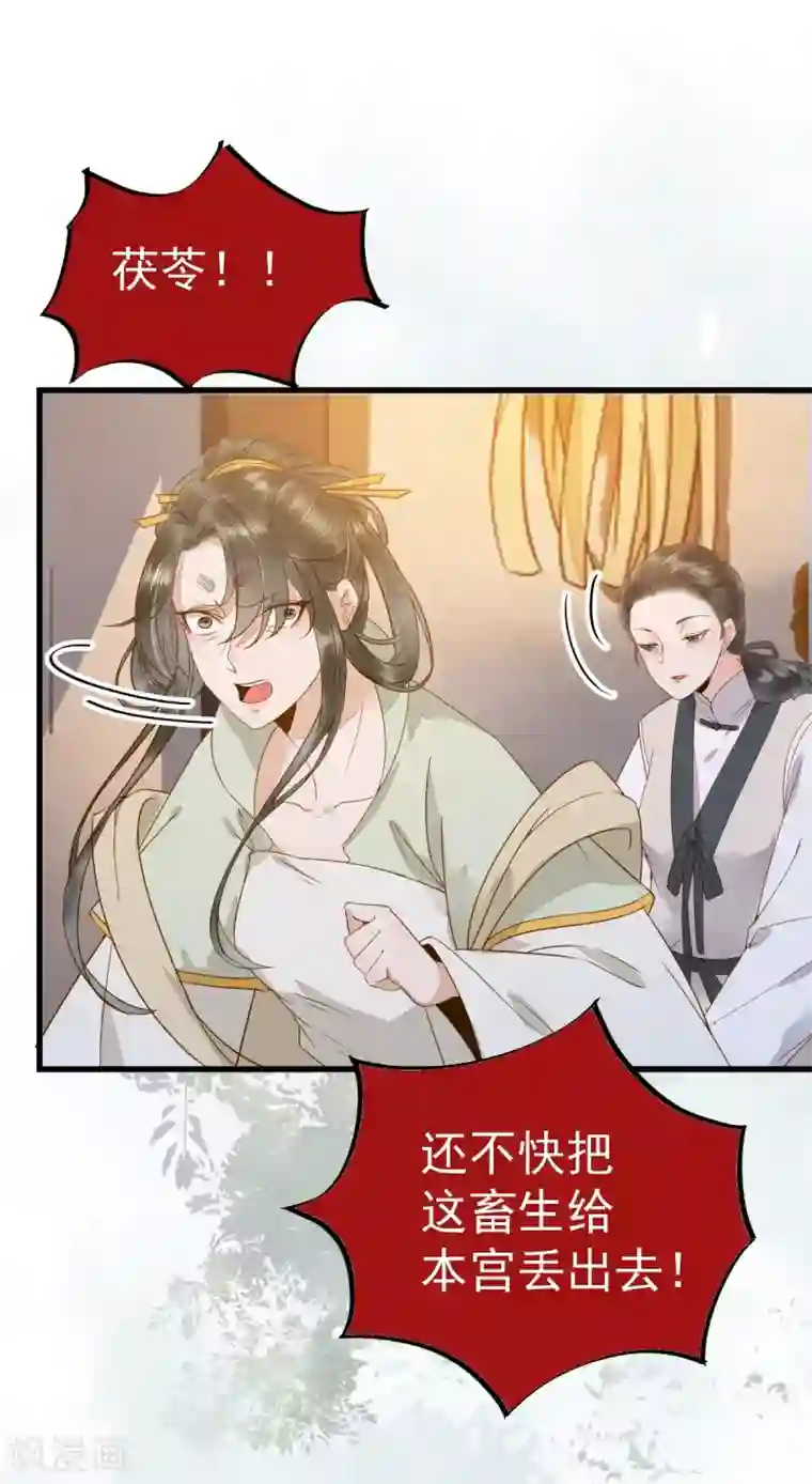 杀手王妃不好惹第49话 pua式疯母