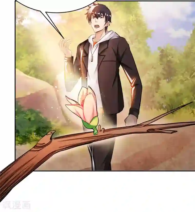 我的师傅是神仙第25话 女刺客