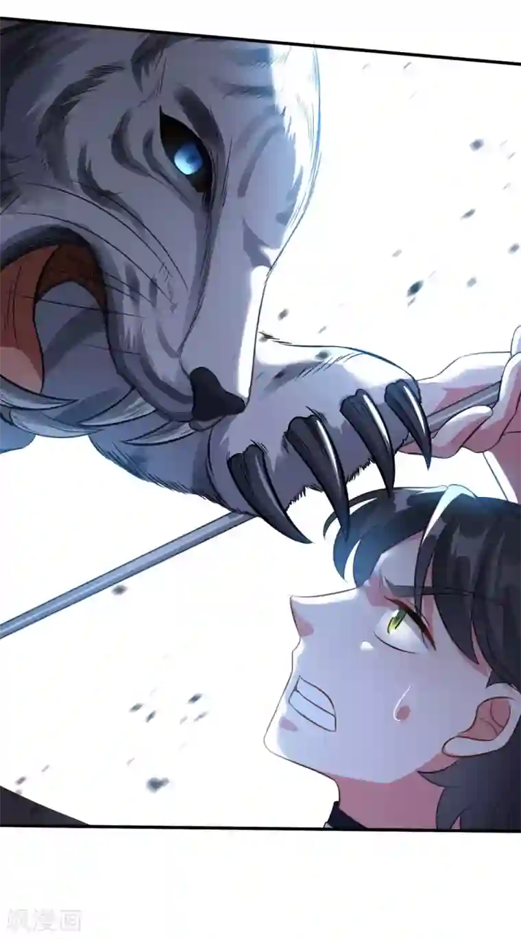 仙魔同修第186话 虎宝