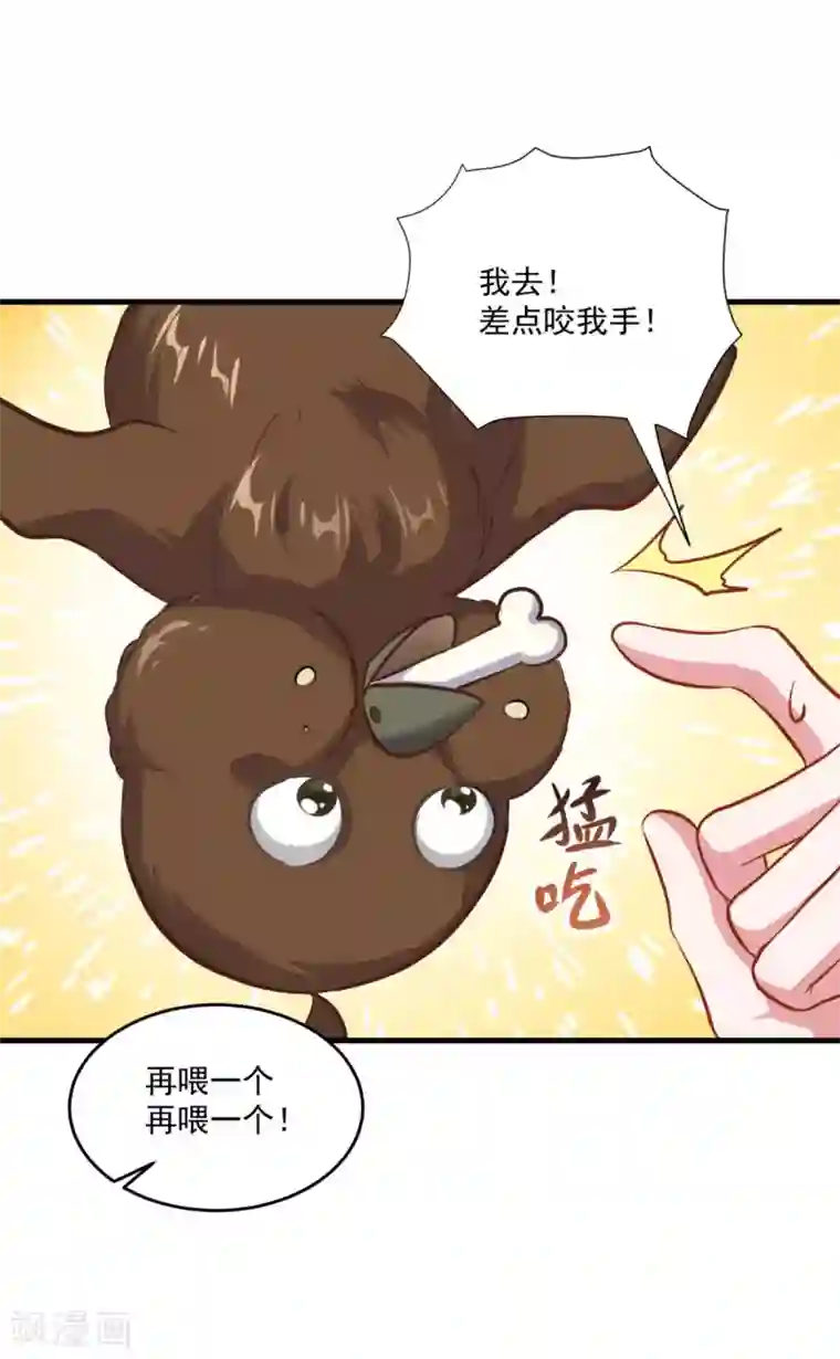 仙魔同修第196话 丑鸟一只
