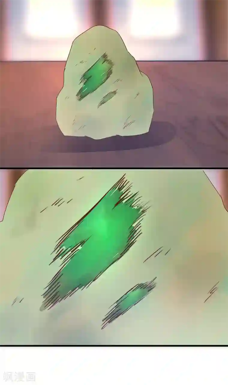 透视仙医第22话 赌石遇到透视眼