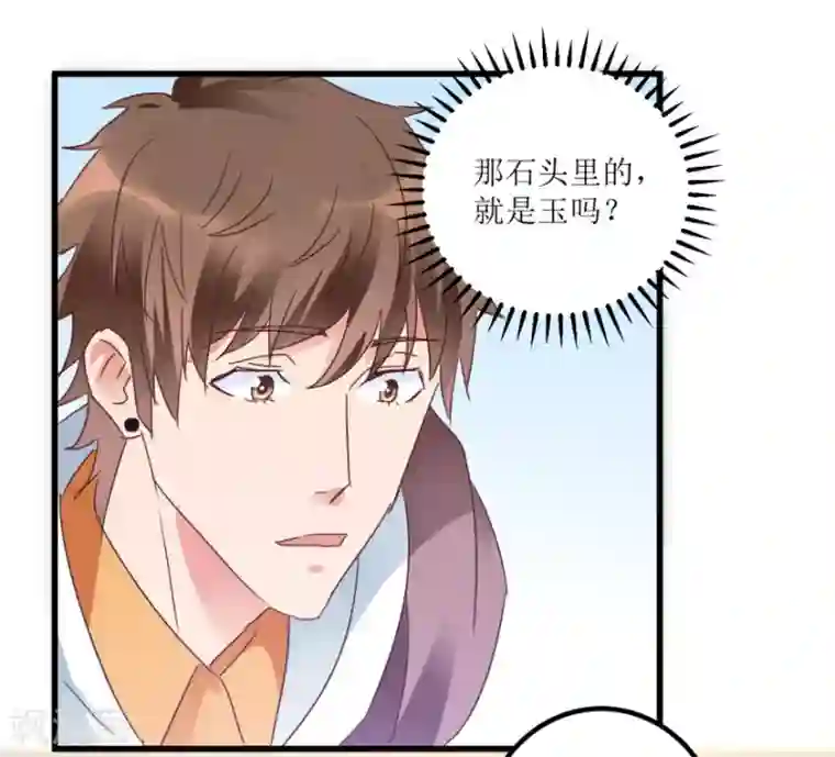 透视仙医第22话 赌石遇到透视眼