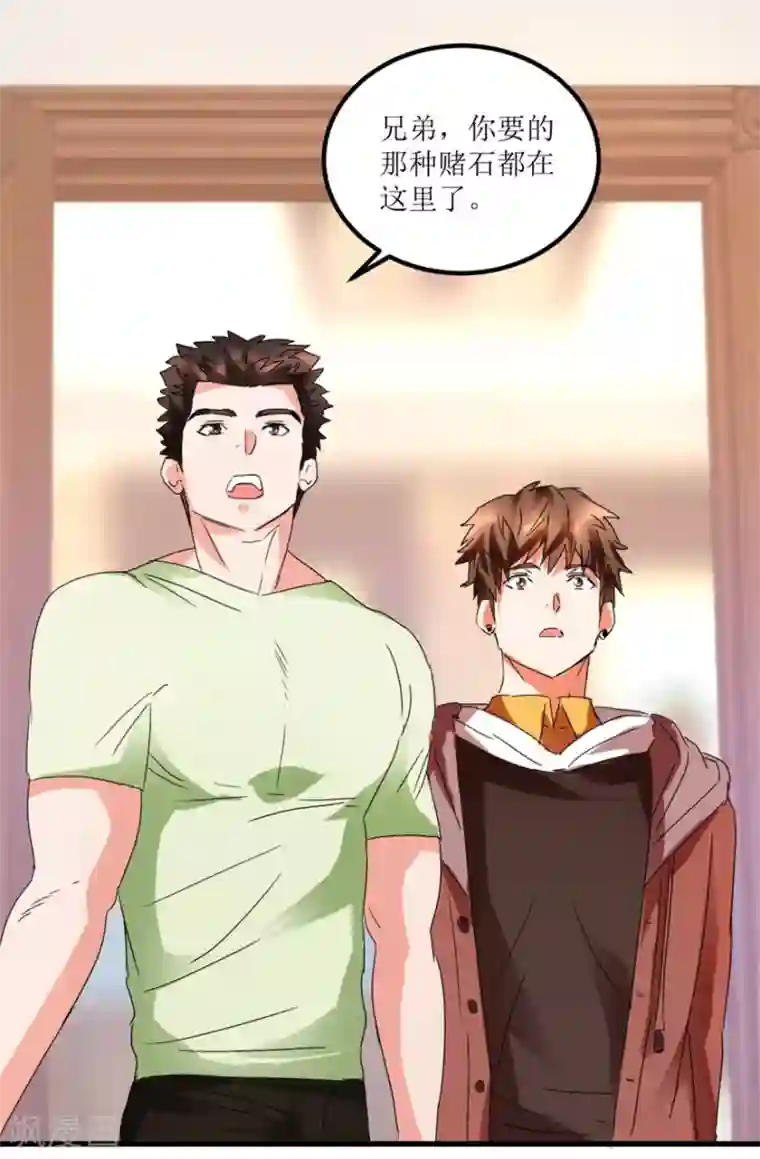 透视仙医第25话 一厘米之下的翡翠