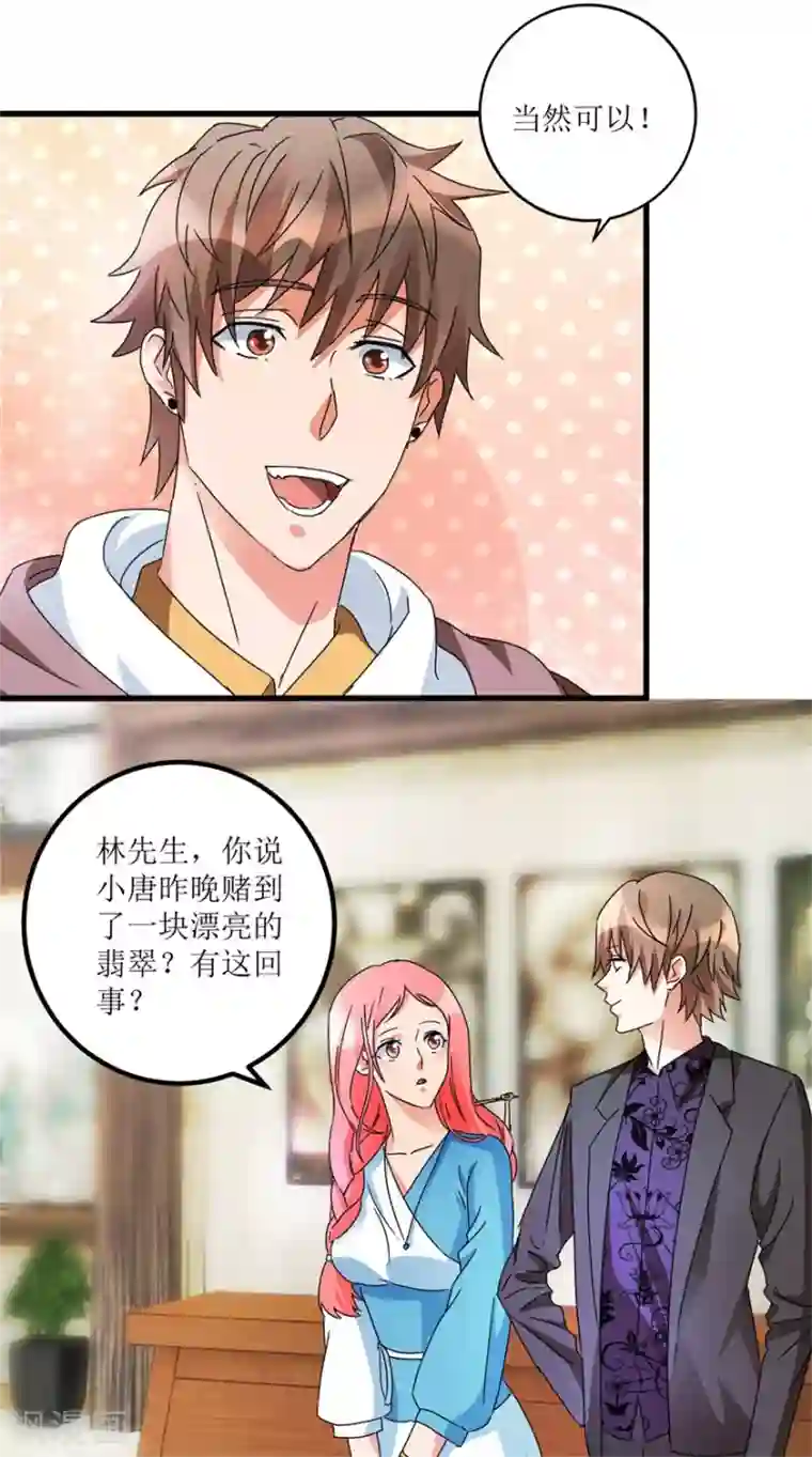 透视仙医第30话 范老师鉴玉