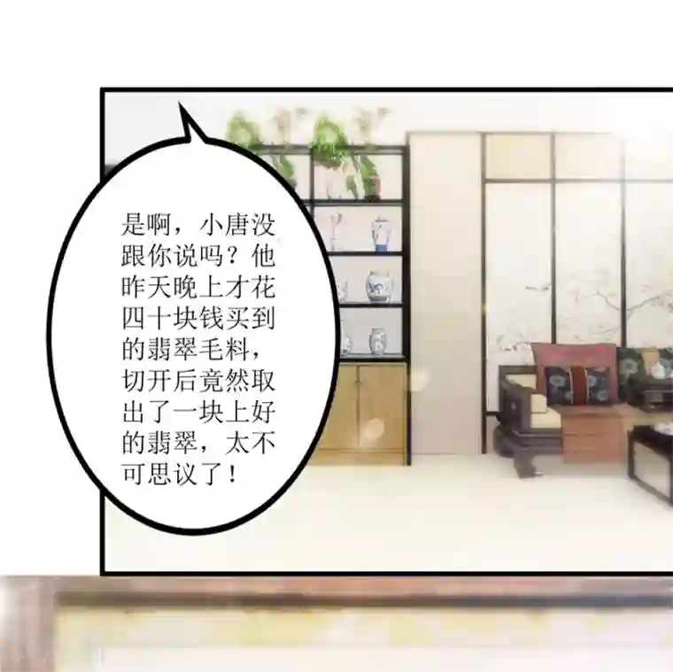 透视仙医第30话 范老师鉴玉