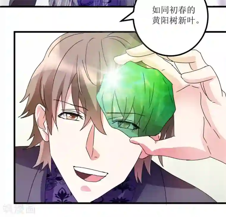 透视仙医第30话 范老师鉴玉