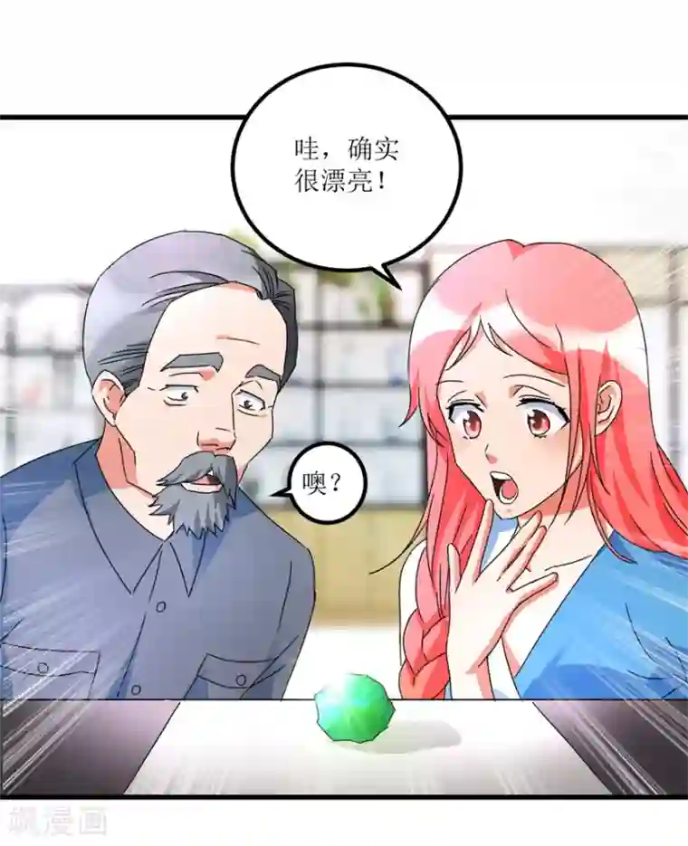 透视仙医第30话 范老师鉴玉