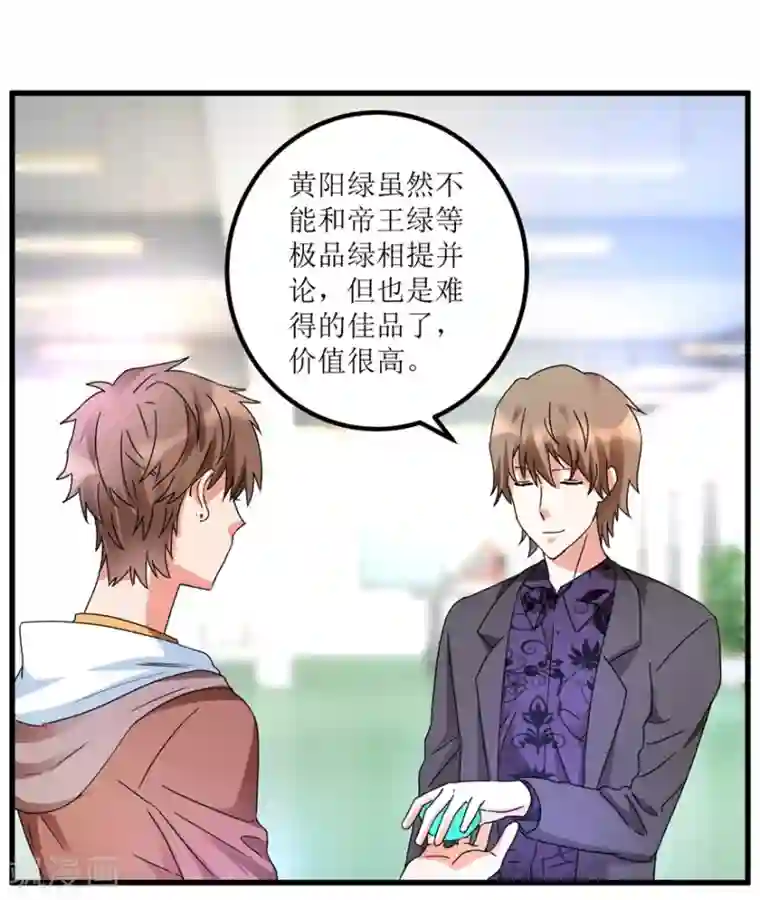 透视仙医第30话 范老师鉴玉