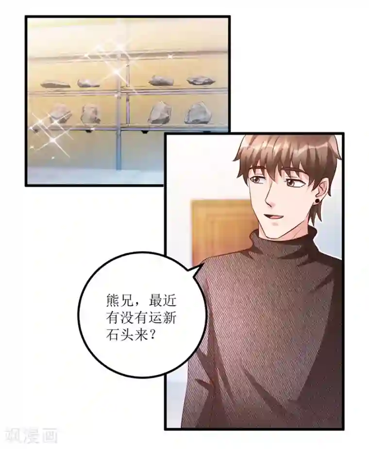 透视仙医第86话 新开的缅甸赌石坊