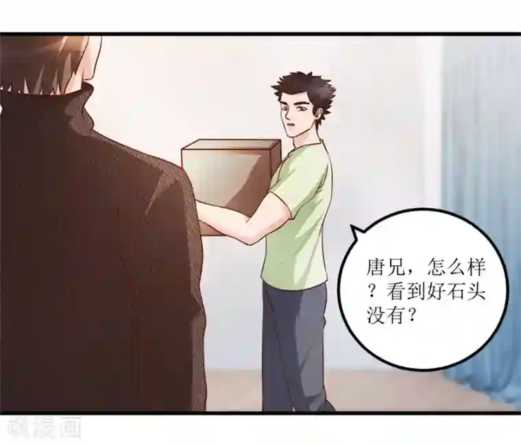 透视仙医第86话 新开的缅甸赌石坊