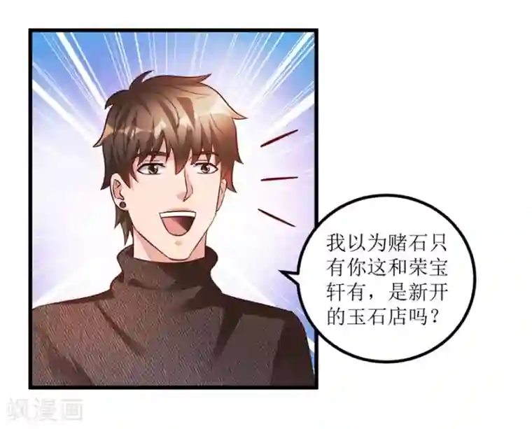 透视仙医第86话 新开的缅甸赌石坊