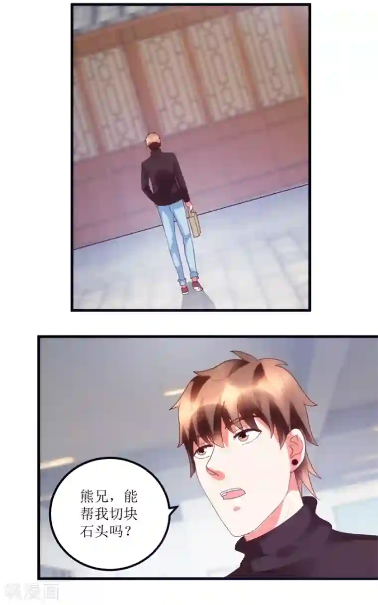 透视仙医第88话 高价买废料